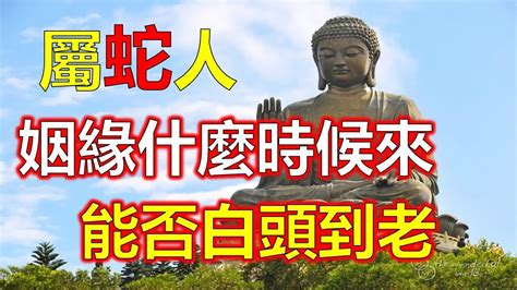 屬蛇姻緣|屬蛇的和什麼生肖最適合做夫妻？